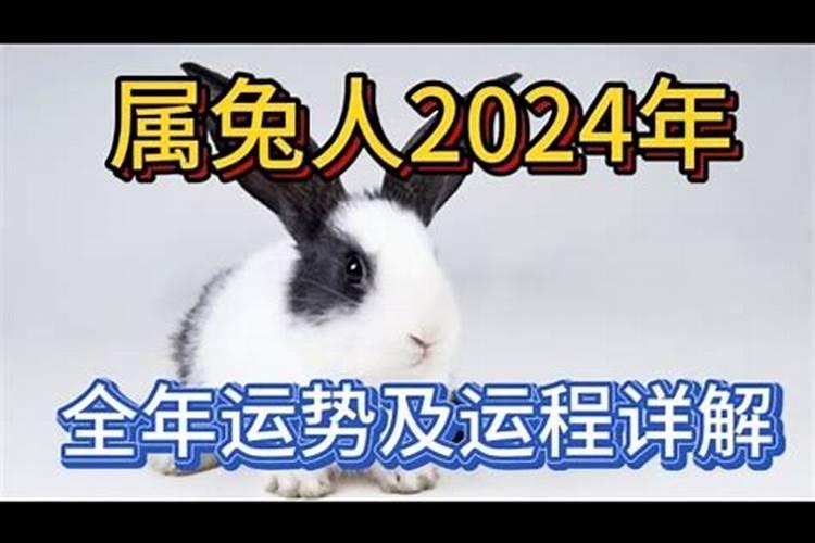 2024牛年属鼠人一整年的运势大全