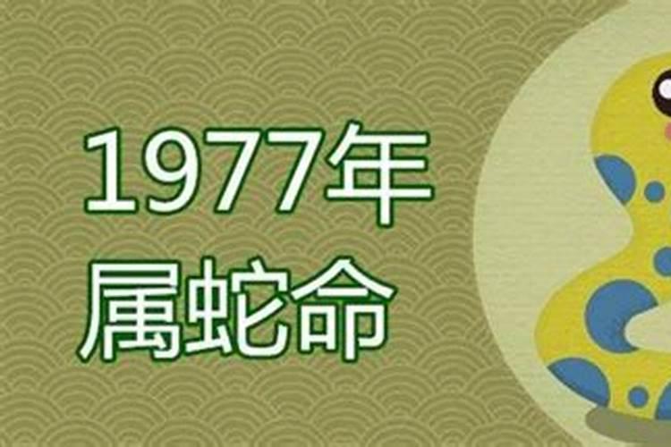 1976年出生的人属什么