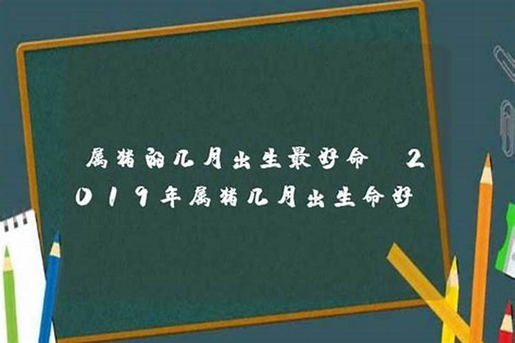 2019年属猪的几月出生最好命