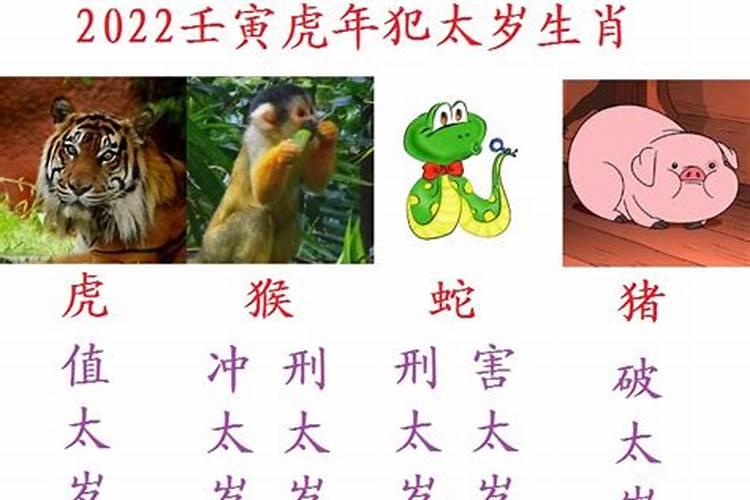 属鼠与属兔的人八字合不合财