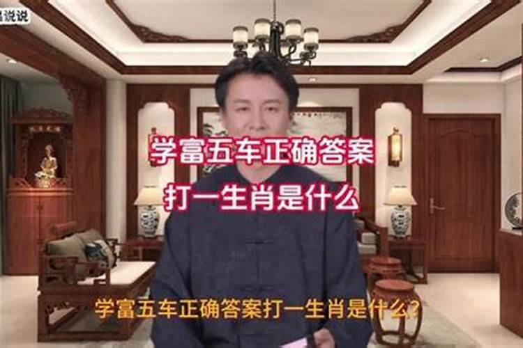 骑虎难下代表什么生肖