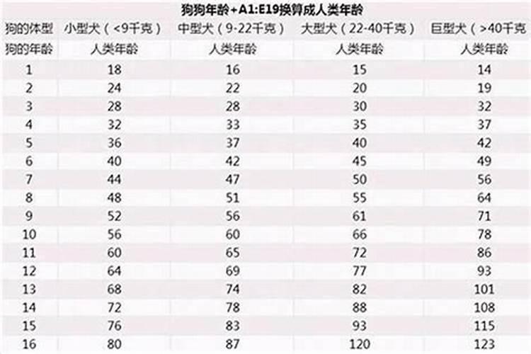 农历70年属狗今年多大