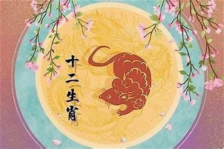 属蛇和属鸡的今年多大