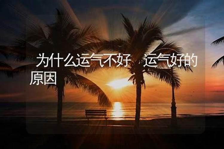 梦见小儿子命根断了周公解梦