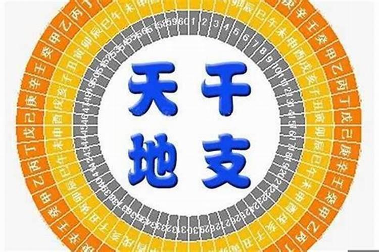 八字地支什么是合而不化