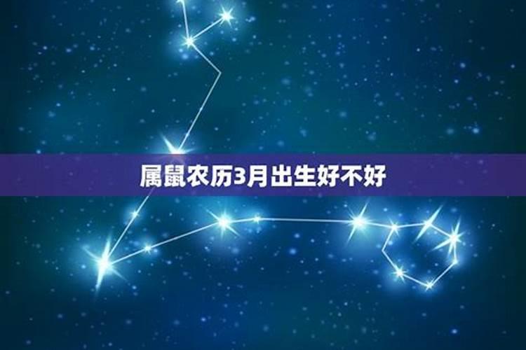 我属兔农历4月19日老公属鼠10月3日，请问什么时辰好