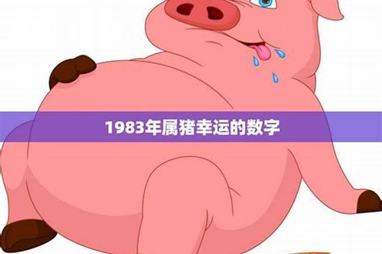 1983年属猪的吉祥数字和颜色