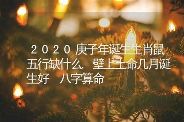 2020年的鼠五行缺什么怎么知道