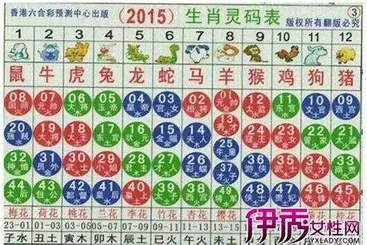 属马是14年的吗