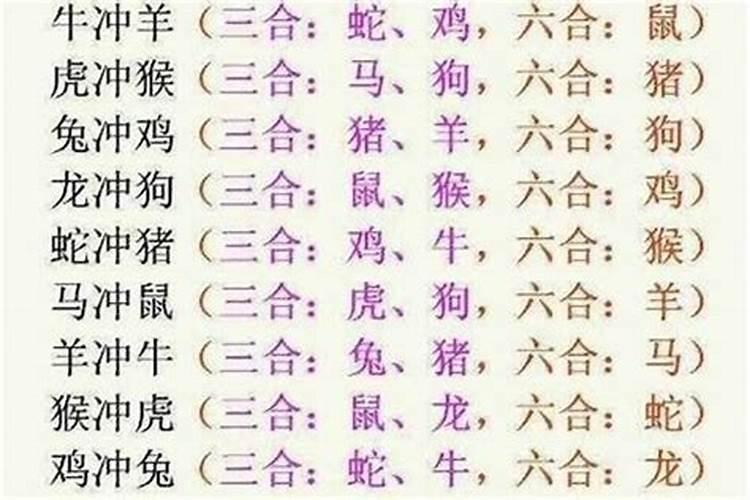 生肖冲八字会不合吗