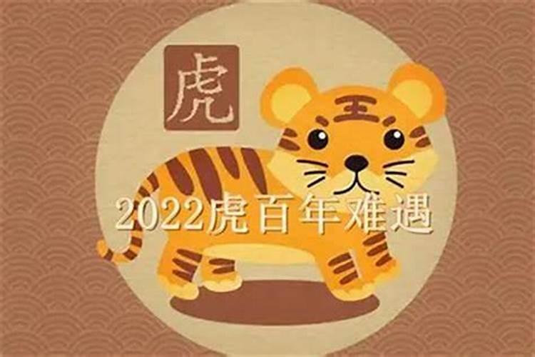 2023年农历5月的虎命运怎么样