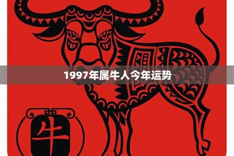 1997年生肖牛的运势