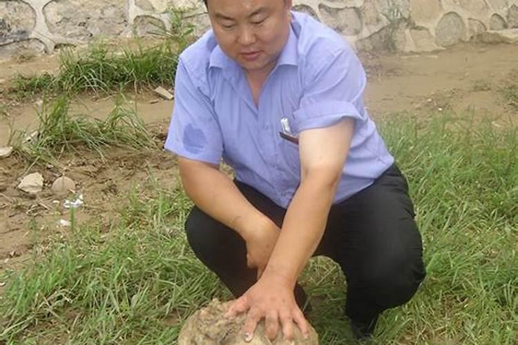 太岁头上动土老虎顶上拔毛