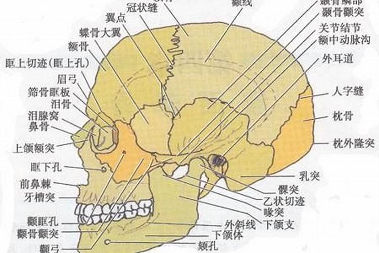 梦到了红色的棺材