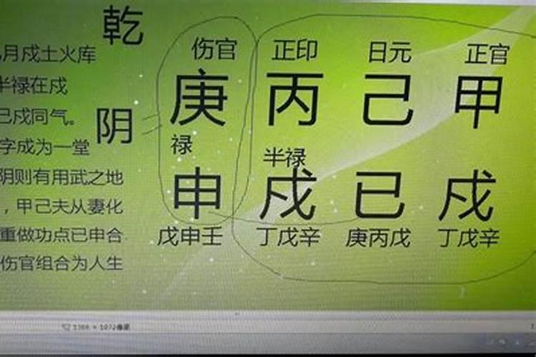 属狗的做什么生意红火