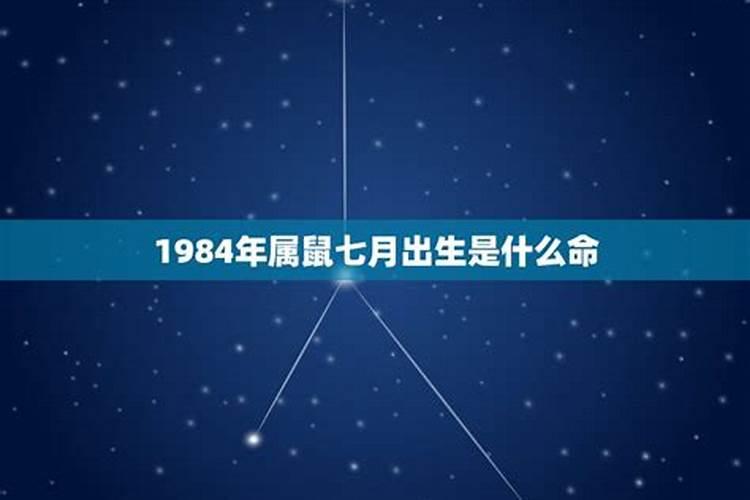 1984年农历7月12男鼠运程好吗