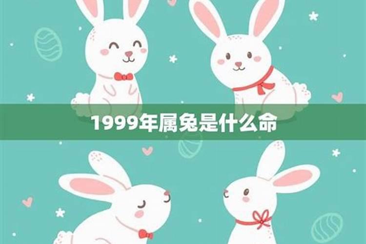 1999年属兔的性格