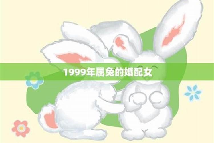 1999年属兔的性格