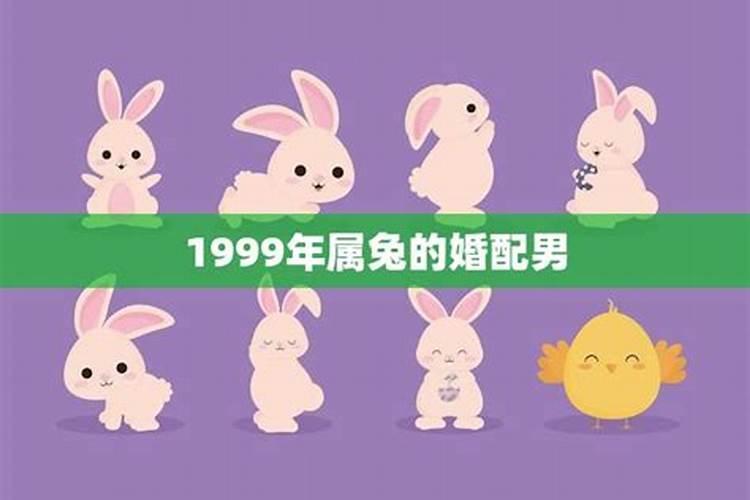 1999年属兔的性格和脾气男