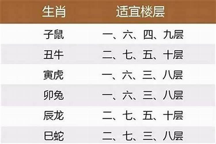 12生肖适宜楼层