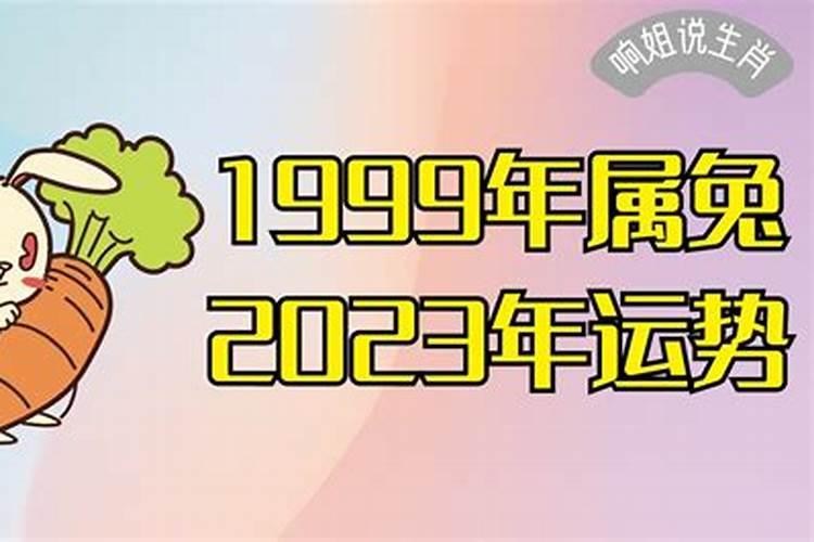 1999年属兔