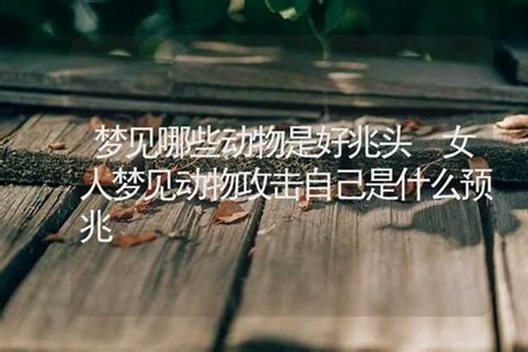 女人梦见表妹是什么兆头？