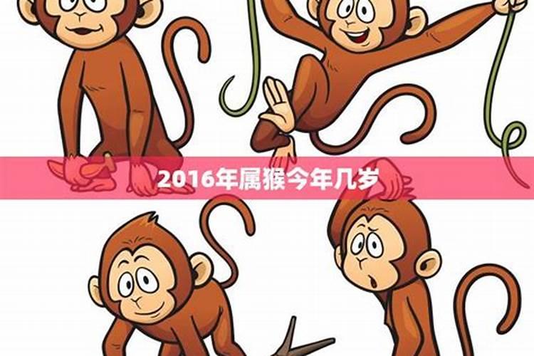 属猴的2021年五十几岁是什么命