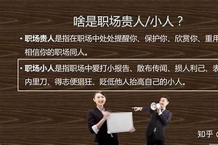 兔相害的生肖是什么