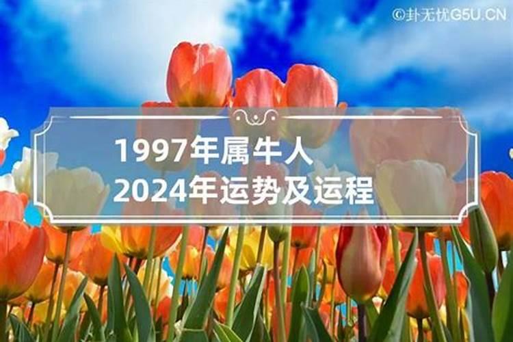 12个属相2024年的运势如何