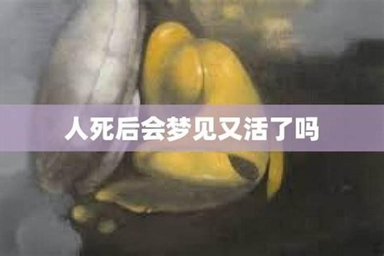 梦见佛祖雕像头掉了什么意思