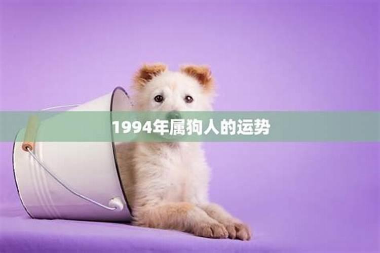 狗年1994年2023年运势