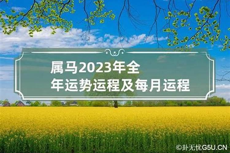 属马2023年的运势卜易居