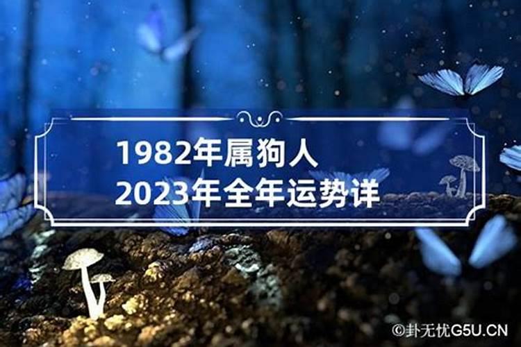 1982年属狗的人2023年运程