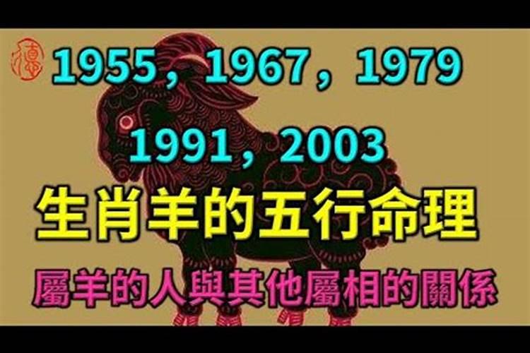 1979年属羊五行