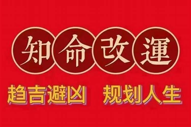 属蛇的人2022年运势如何解析呢