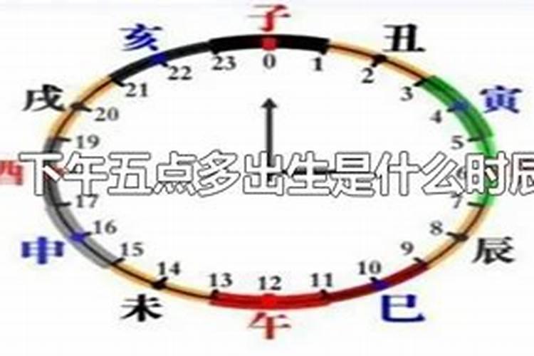 属兔人的2024年的运势