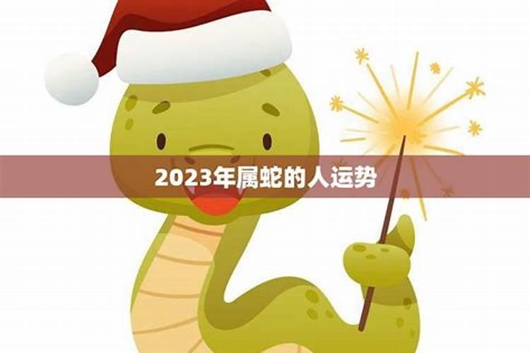 属蛇人2023年如何转运