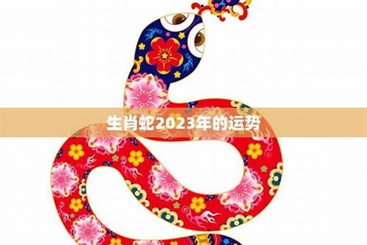 2023年属蛇的运势如何样