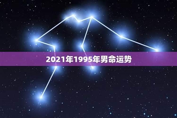 1995属猪2021年运势