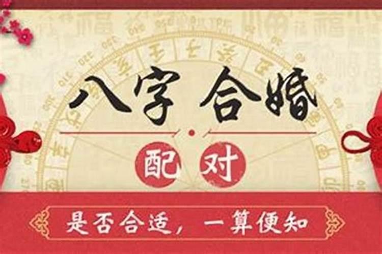 八字合婚能看出什么