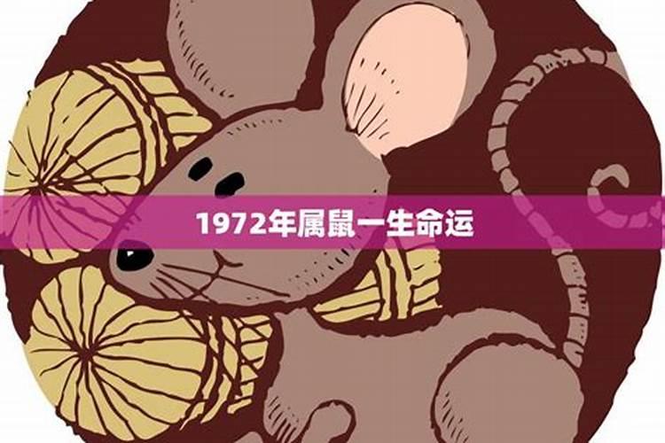 属鼠的1972年的这一生好吗