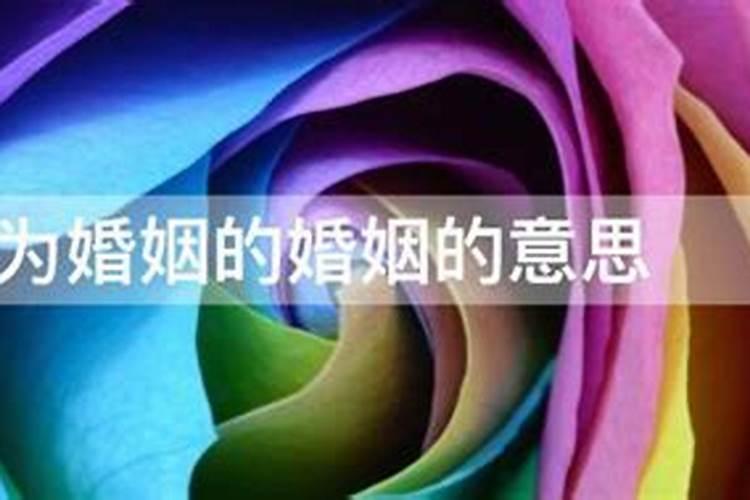 约为婚约是什么意思？