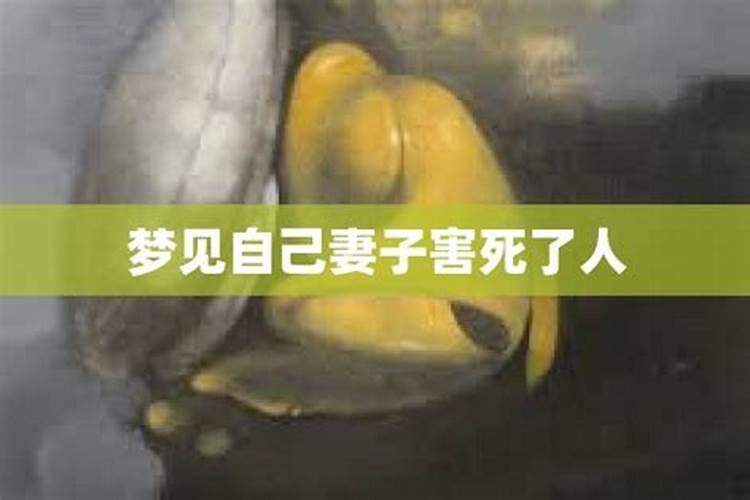 梦见妻子被杀害大哭