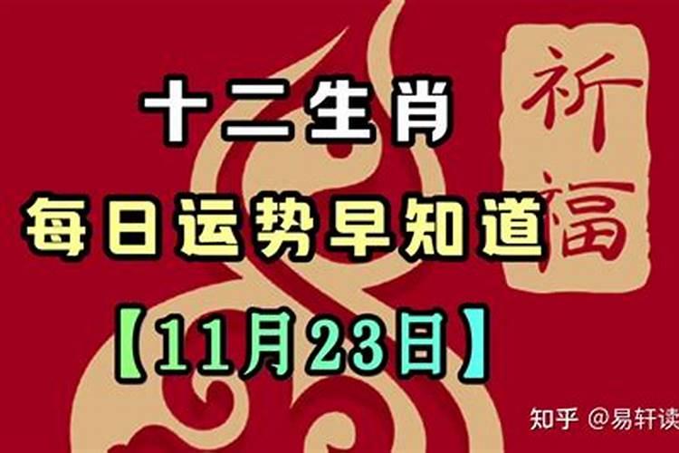 2020年11月23日生肖运程