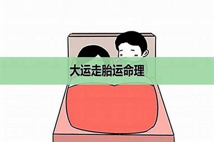 女人大运走伤官运会怎样