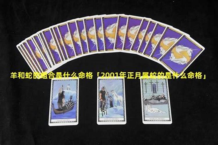 2001的蛇是什么命格？