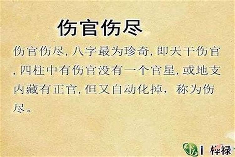 八字算命中何为伤官伤尽