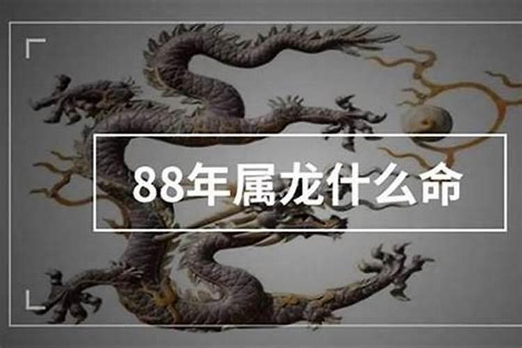 88年属龙是什么命呢