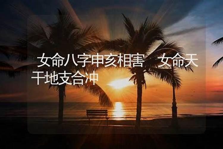 2022属兔刑太岁什么意思