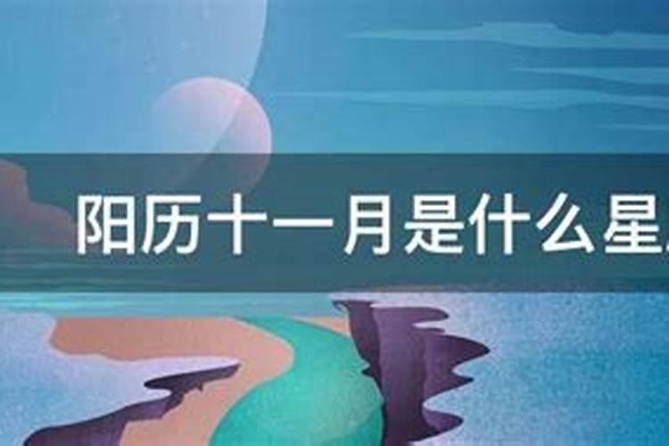 阳历十一月11日是什么星座？